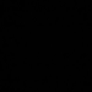 Meet your Posher, Nicoi